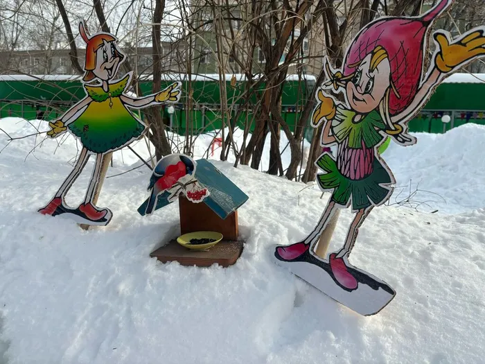 IMG-20240221-WA0012